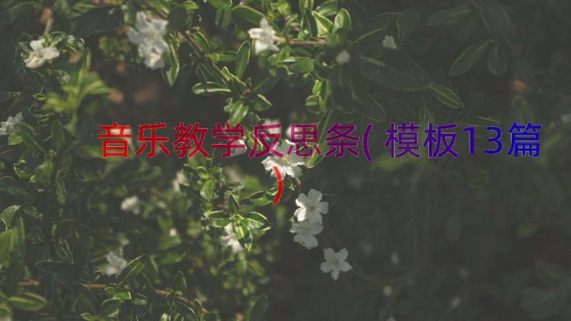 音乐教学反思条(模板13篇)