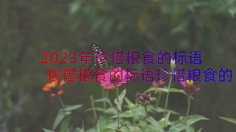 2023年珍惜粮食的标语 珍惜粮食的标语珍惜粮食的标语口号(模板8篇)