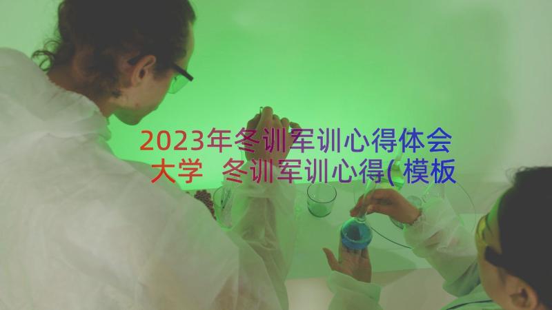 2023年冬训军训心得体会大学 冬训军训心得(模板8篇)