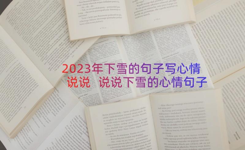 2023年下雪的句子写心情说说 说说下雪的心情句子(大全18篇)