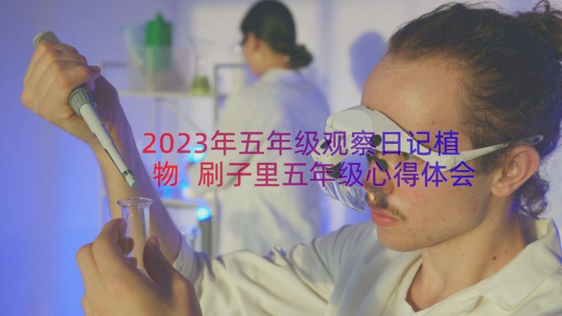 2023年五年级观察日记植物 刷子里五年级心得体会(优秀8篇)