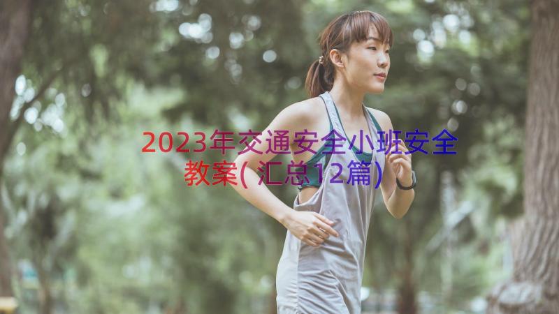 2023年交通安全小班安全教案(汇总12篇)