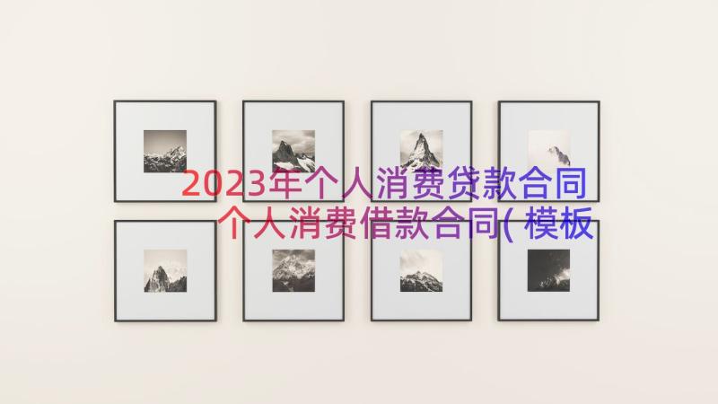 2023年个人消费贷款合同 个人消费借款合同(模板16篇)