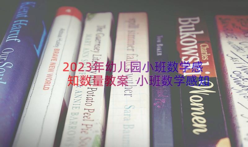 2023年幼儿园小班数学感知数量教案 小班数学感知以内的数量教案反思(优秀20篇)