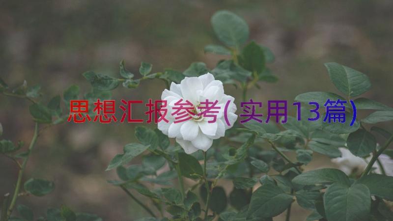 思想汇报参考(实用13篇)