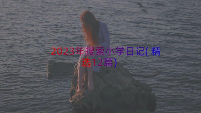 2023年搜索小学日记(精选12篇)