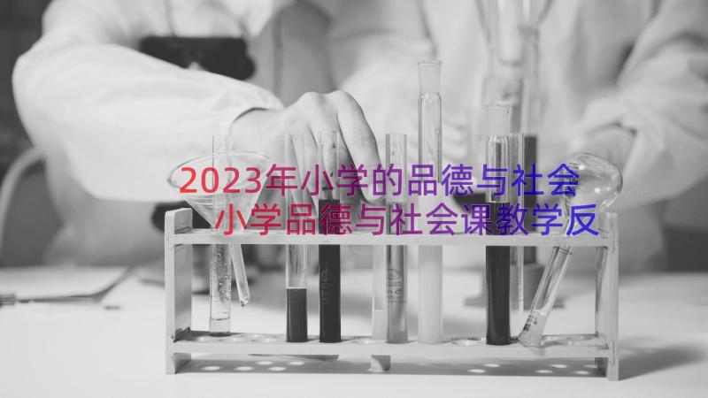 2023年小学的品德与社会 小学品德与社会课教学反思(优秀15篇)