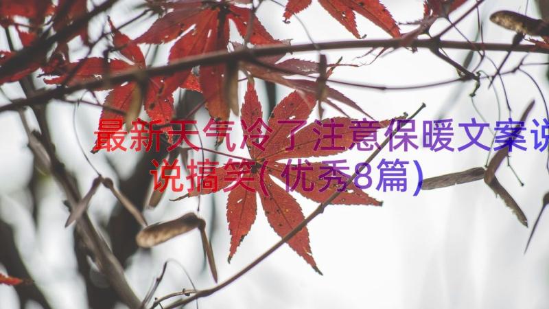 最新天气冷了注意保暖文案说说搞笑(优秀8篇)