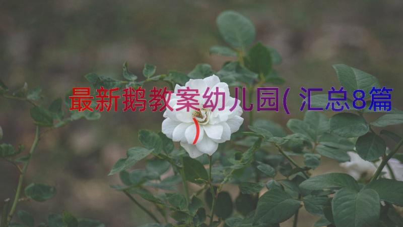 最新鹅教案幼儿园(汇总8篇)