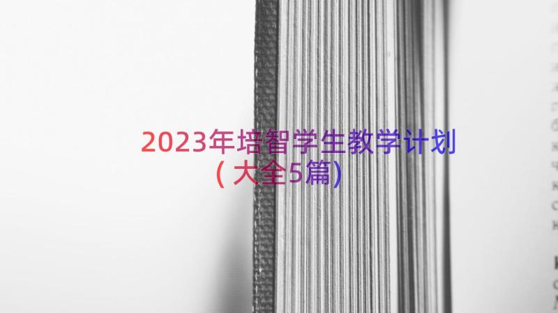 2023年培智学生教学计划(大全5篇)