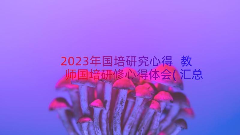 2023年国培研究心得 教师国培研修心得体会(汇总19篇)