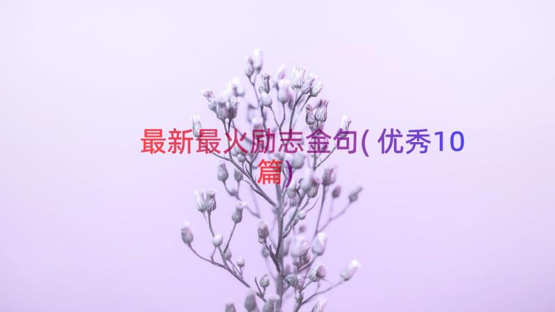 最新最火励志金句(优秀10篇)