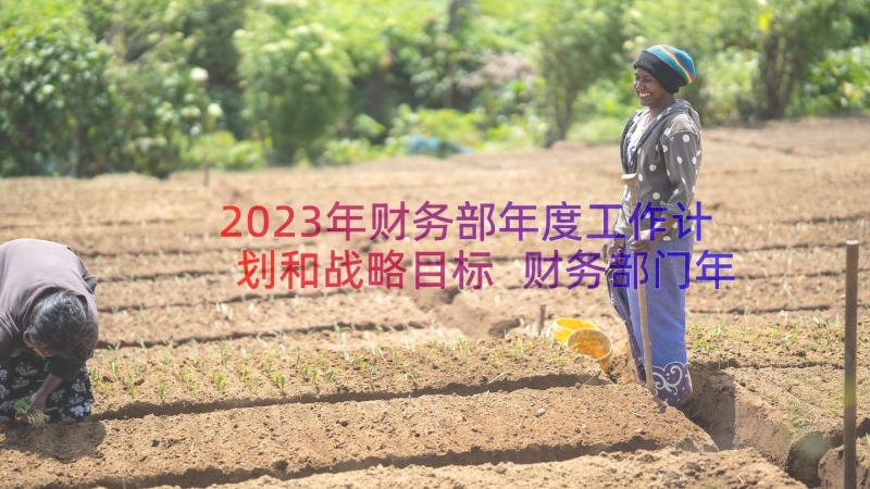 2023年财务部年度工作计划和战略目标 财务部门年度工作计划(模板8篇)