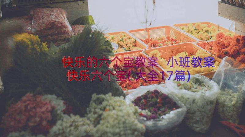 快乐的六个宝教案 小班教案快乐六个宝(大全17篇)