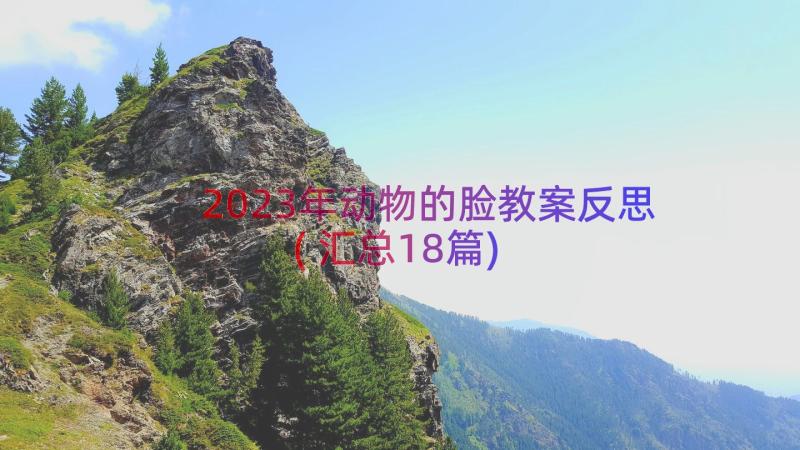 2023年动物的脸教案反思(汇总18篇)