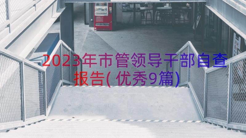 2023年市管领导干部自查报告(优秀9篇)