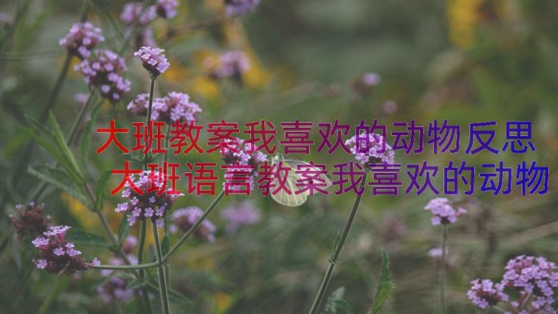 大班教案我喜欢的动物反思 大班语言教案我喜欢的动物(优质5篇)