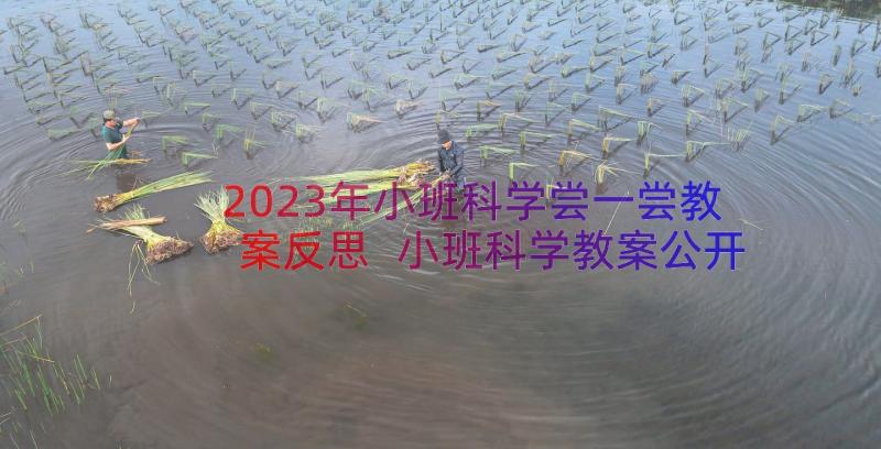 2023年小班科学尝一尝教案反思 小班科学教案公开课(模板12篇)