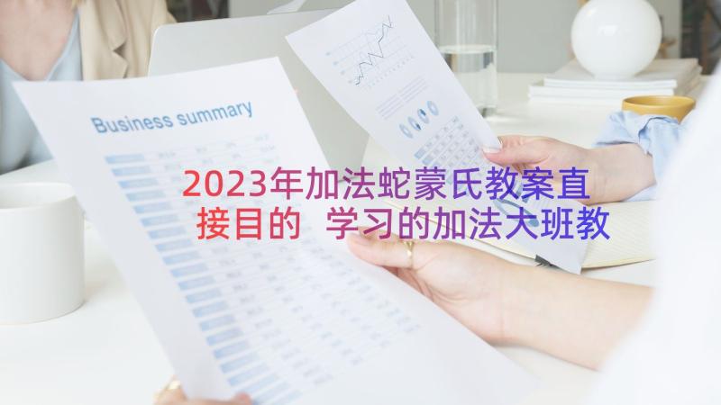 2023年加法蛇蒙氏教案直接目的 学习的加法大班教案(模板13篇)