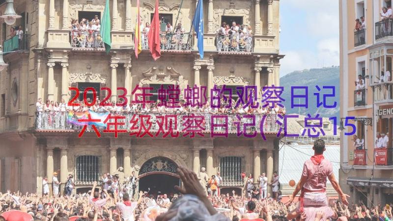 2023年螳螂的观察日记 六年级观察日记(汇总15篇)