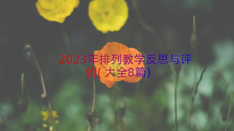 2023年排列教学反思与评价(大全8篇)