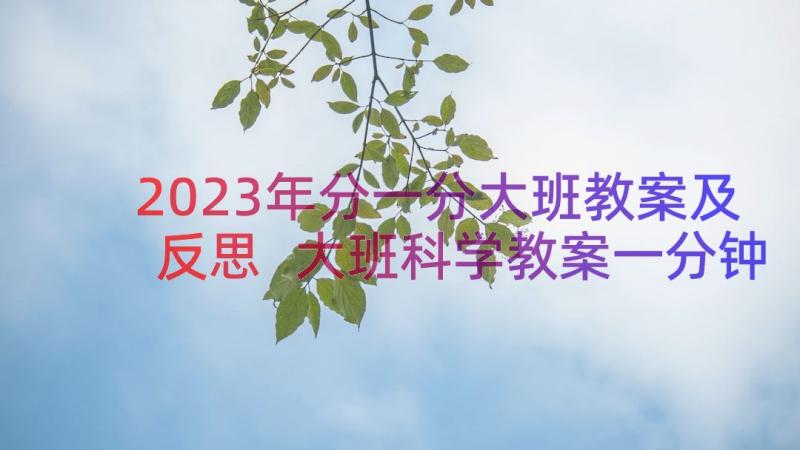 2023年分一分大班教案及反思 大班科学教案一分钟(汇总19篇)