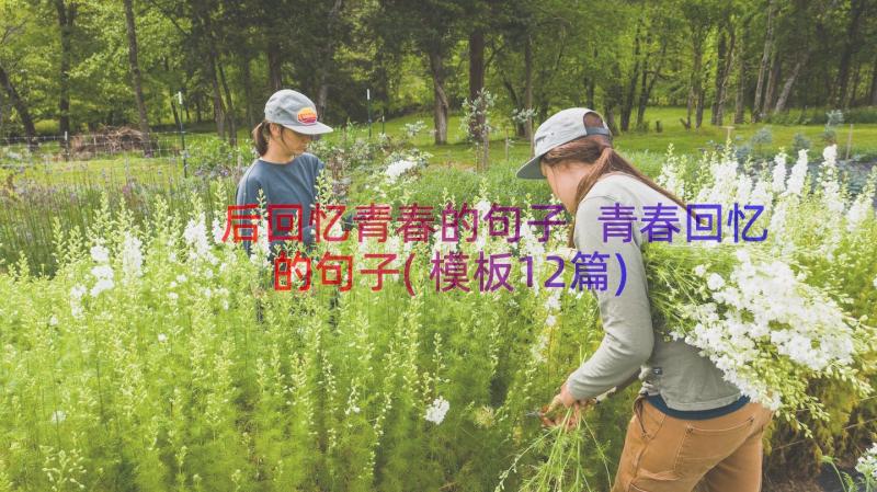 后回忆青春的句子 青春回忆的句子(模板12篇)