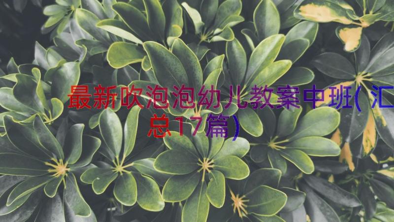 最新吹泡泡幼儿教案中班(汇总17篇)