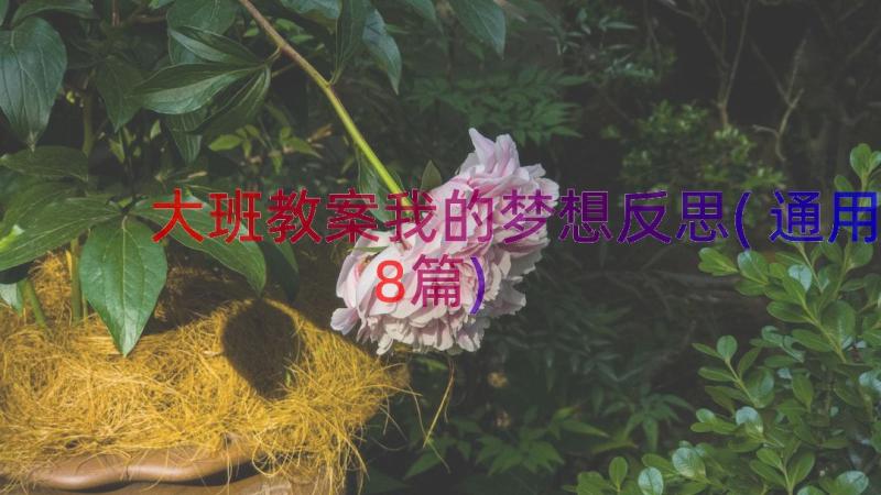 大班教案我的梦想反思(通用8篇)