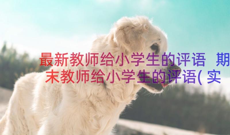 最新教师给小学生的评语 期末教师给小学生的评语(实用9篇)