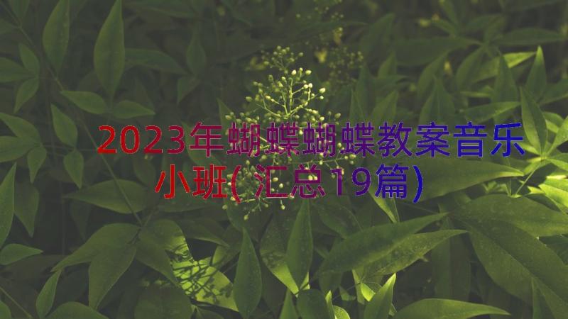 2023年蝴蝶蝴蝶教案音乐小班(汇总19篇)