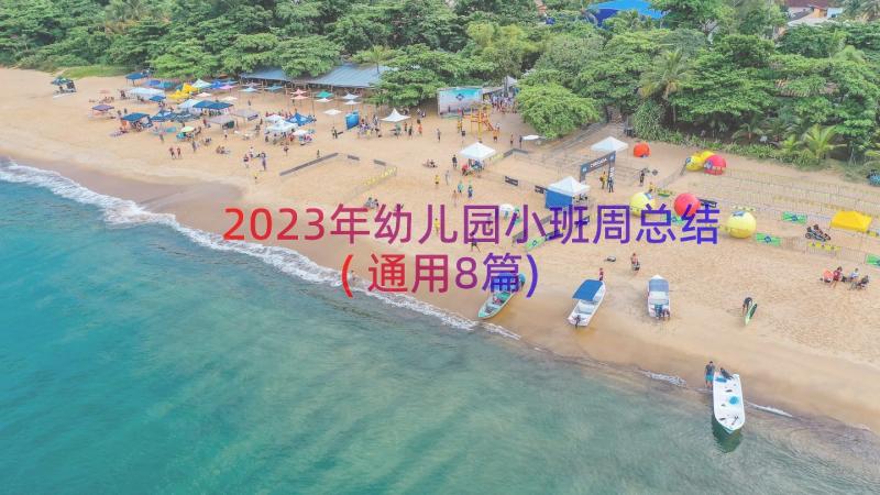 2023年幼儿园小班周总结(通用8篇)