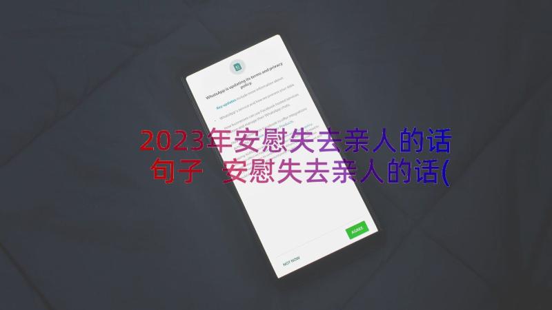 2023年安慰失去亲人的话句子 安慰失去亲人的话(实用8篇)