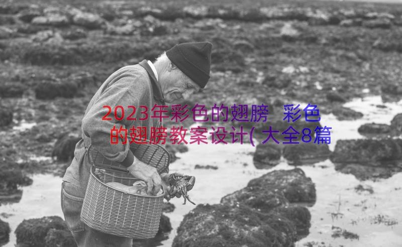 2023年彩色的翅膀 彩色的翅膀教案设计(大全8篇)