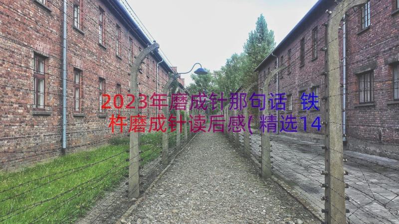 2023年磨成针那句话 铁杵磨成针读后感(精选14篇)