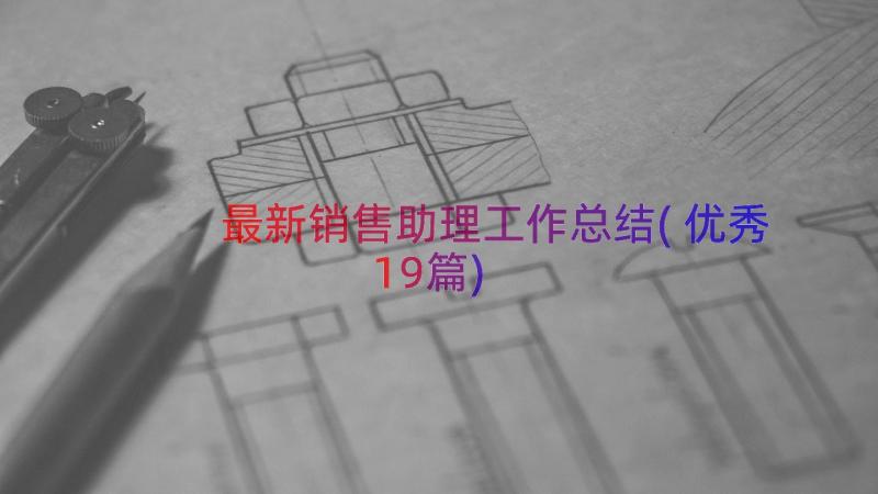 最新销售助理工作总结(优秀19篇)