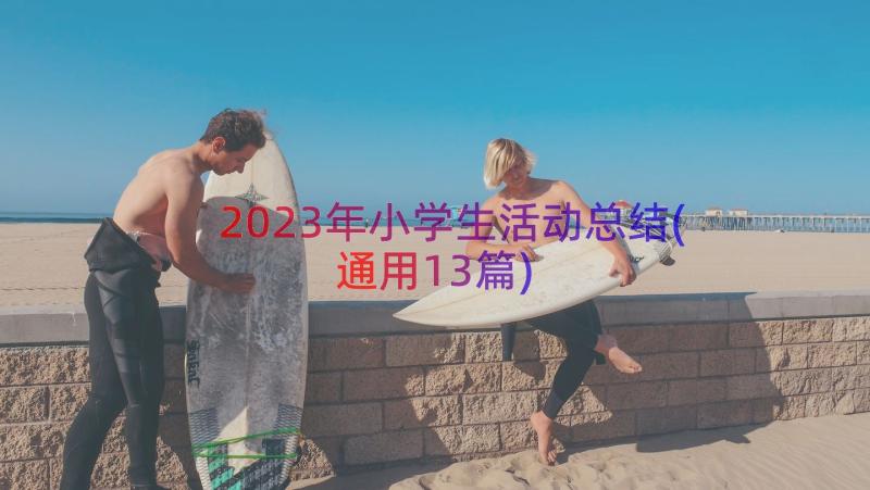 2023年小学生活动总结(通用13篇)