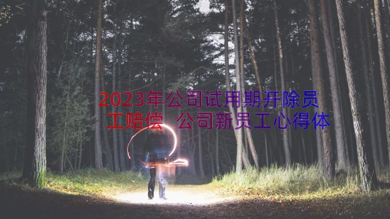 2023年公司试用期开除员工赔偿 公司新员工心得体会(精选9篇)