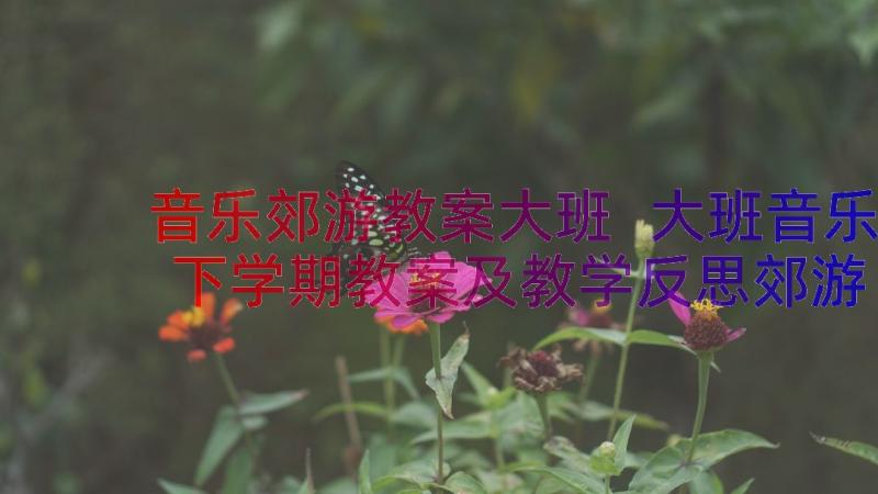 音乐郊游教案大班 大班音乐下学期教案及教学反思郊游(优质8篇)