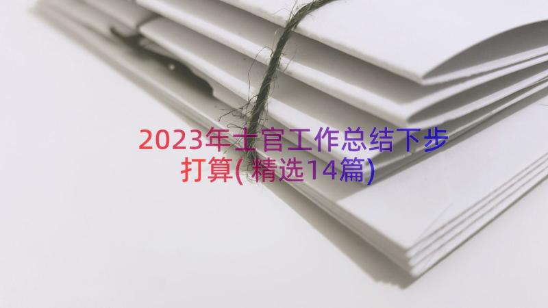 2023年士官工作总结下步打算(精选14篇)