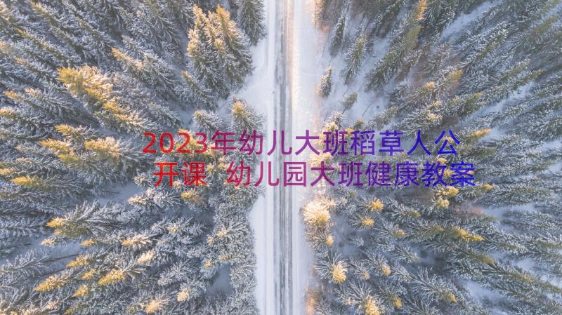 2023年幼儿大班稻草人公开课 幼儿园大班健康教案及反思(汇总17篇)