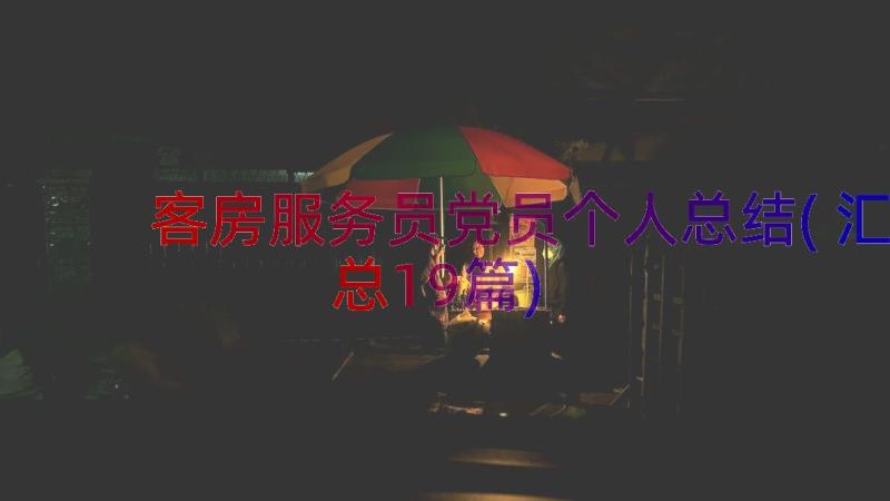 客房服务员党员个人总结(汇总19篇)