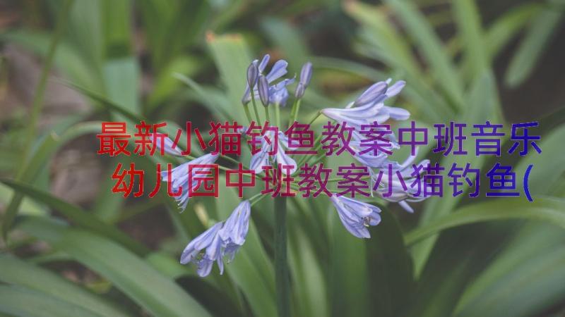 最新小猫钓鱼教案中班音乐 幼儿园中班教案小猫钓鱼(汇总8篇)