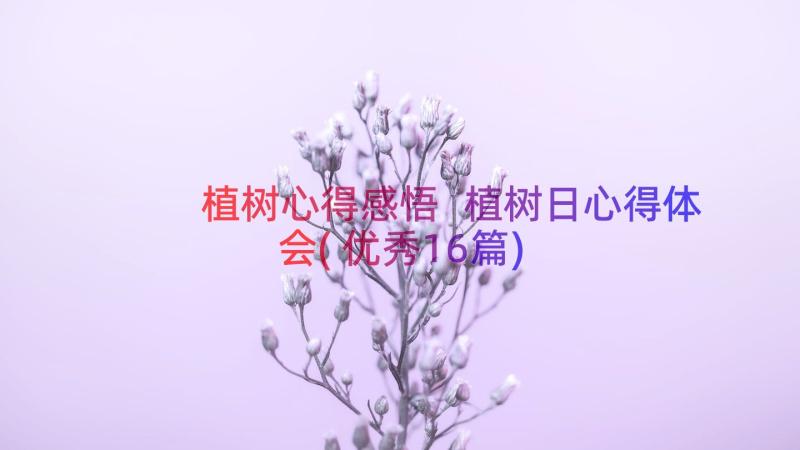 植树心得感悟 植树日心得体会(优秀16篇)