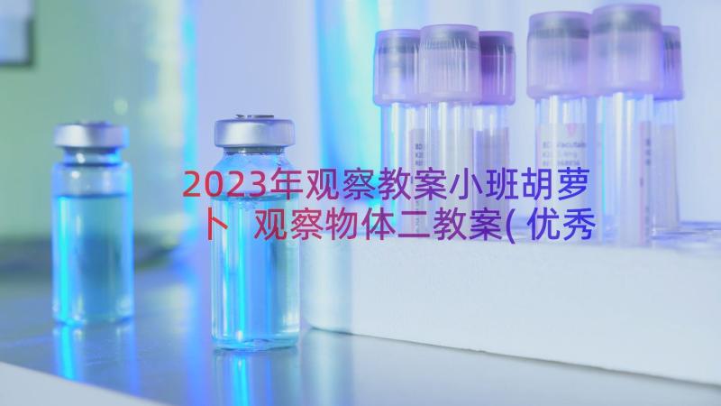 2023年观察教案小班胡萝卜 观察物体二教案(优秀16篇)