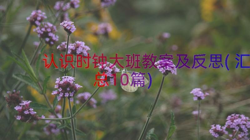 认识时钟大班教案及反思(汇总10篇)