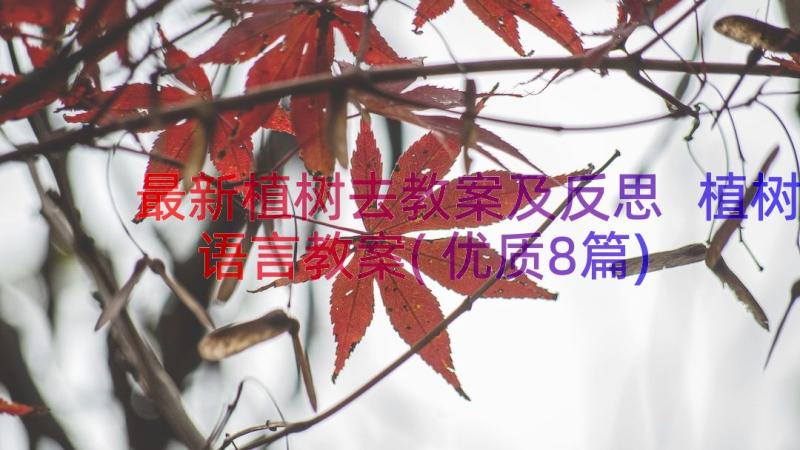 最新植树去教案及反思 植树语言教案(优质8篇)