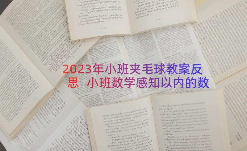 2023年小班夹毛球教案反思 小班数学感知以内的数量教案(模板19篇)