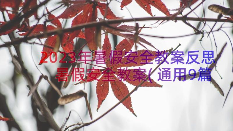 2023年暑假安全教案反思 暑假安全教案(通用9篇)