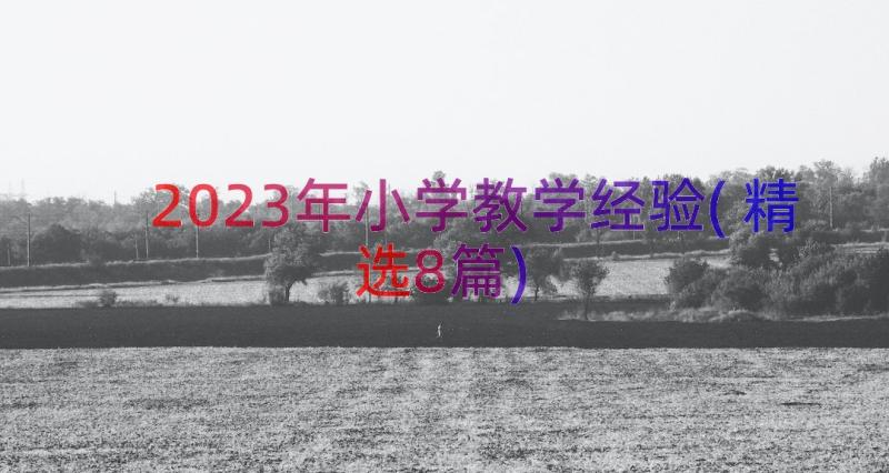 2023年小学教学经验(精选8篇)